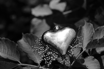 Black and white photo. Heart on a dark background.