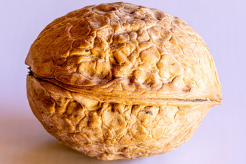 Graphic resources isolated object closed ripe walnut. Tasty diet healthy wholesome food. Volosh nut, king nut, Greek nut. An edible kernel is enclosed inside a woody shell. The fruit is a large drupes