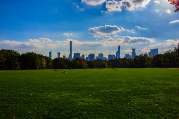 Fototapeta na wymiar View of the park
