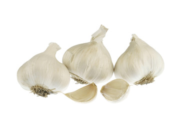 fresh garlic isolated on white background