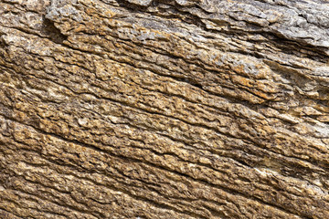Close View of Rock Strata