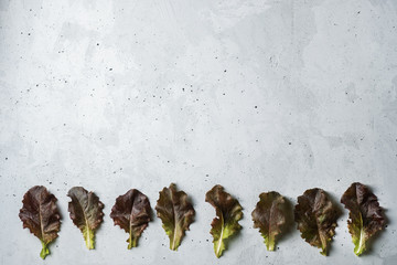 Gray background with the leaves of lettuce at the bottom of iodinated. Flat lay with copy space.