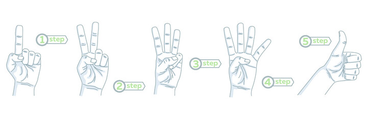 Naklejka premium Vector Linear Fingers icons. Order Steps Illustration. Hands Drawing. Gesture. Counting. 