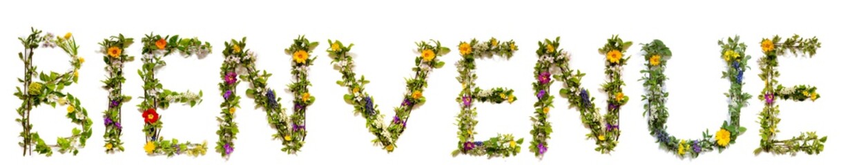 Flower, Branches And Blossom Letter Building French Word Bienvenue Means Welcome. White Isolated Background