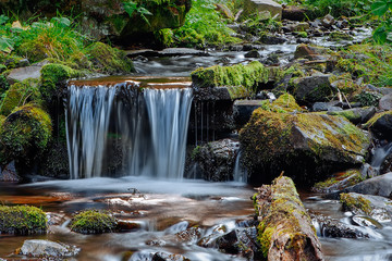 Fototapeta na wymiar Mountain stream in the Carpathian mountains in Ukraine