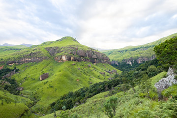 Südafrika, KwaZulu-Natal, Giants Castle Game Reserve, auf Wanderung zur Regenbogen Grotte in den Drakensbergen, Bewaldetes und bewachsenes Berggebiet