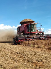 Fototapeta premium harvester harvesting soy