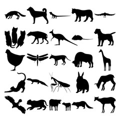 Set of 25 animals. Fox, Lizard, Lioness, Goshawk, Kitten, Hyena, Kangaroo, Mouse, Dog, Chickens, DragonFly, Tasmanian Tiger, Buffalo, Giraffe, Cat, Gecko, Mantis, Rabbit, Elk, Cow, Raccoon, Deer.