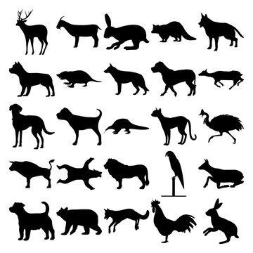 Set of 25 animals. Goat, Rabbit, Raccoon, Dog, Pitbull, Mole, Deer, Pangolin, Black Cat, Cassowary, Bull, Bear, Lion, Parrot, Elk, Jack Russell, Fox, Rooster