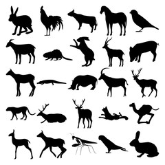 Set of 25 animals. Hare, Cock, Cow, Horse, Sparrow, Goat, Beaver, Gazelle, Pig, Crocodile, Rhino, Antelope, Cheetah, Deer, Fox, Camels, Doe, Elk, Mantis, Parrot, Rabbit.