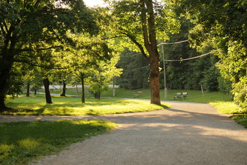 Sonnenuntergang im Park