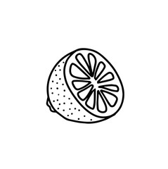 Lemon isolated on a white background. Lemon and lemon slice. Strengthening the immune system and health. Hand drawn vector illustration in Doodle style