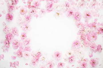 Beautiful sakura petals cherry blossom on the white background outer space for test place