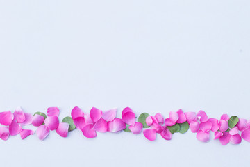 Beautiful pink petals copy space with the text place holiday mood