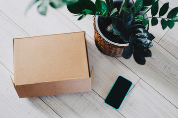Contactless delivery of goods. The smartphone, box and zamiokulkas are on the floor.