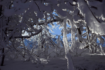 icicles on the roof of a house