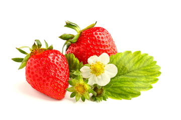 A pair of strawberries on white isolated background