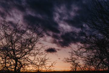 Obraz premium Dark sunset clouds 