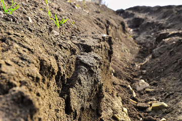 Soil erosion waste soil texture field