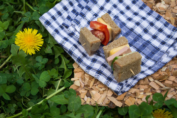 in spring on the green grass with yellow dandelions picnic on a blue checked towel and a wooden Board toothpick sandwiches canapes with sausage bread cheese delicious background