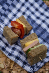spring summer picnic in nature with a family on a wooden Board and a checkered blue and white towel are delicious sandwiches canapes with cheese sausage cucumber on a toothpick