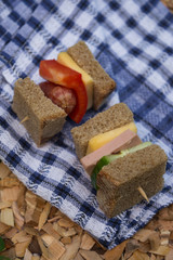 spring summer picnic in nature with a family on a wooden Board and a checkered blue and white towel are delicious sandwiches canapes with cheese sausage cucumber on a toothpick