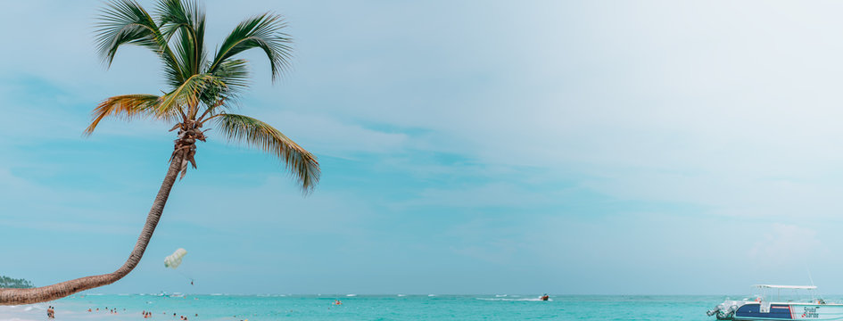 Dominican Republic tropical beach resort. Seashore. Palm tree