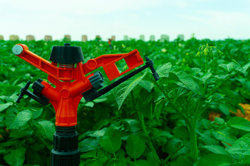 potato field and water jet