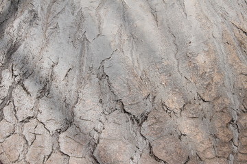 Closeup 