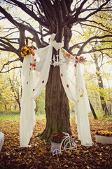 Wedding in the forest. Autumn ceremony under the tree.