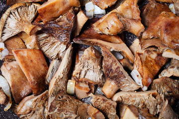 Fried mushrooms in a pan, macro, background