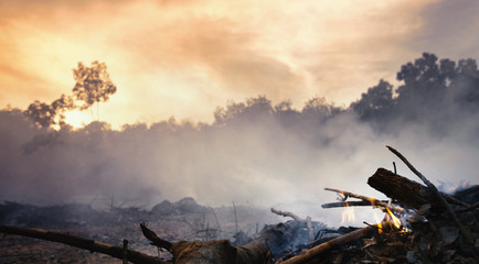 Deforestation of rainforest in Asia.  Smoke and air Pollution from agricultural burning farm fields.