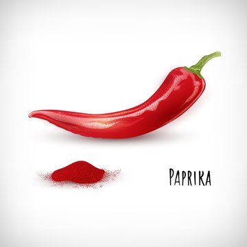 Realistic image of ground red hot pepper with raw pepper pod. Lettering Paprika.