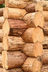 Organic pure wood construction, log house technology.