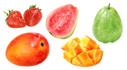Guava mango strawberry watercolor illustration isolated on white background
