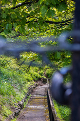 Edinburgh, Scotland/ United Kingdom-May 5,2020. Parks and gardens forced to close across UK during...