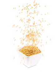 sesame seeds on white background