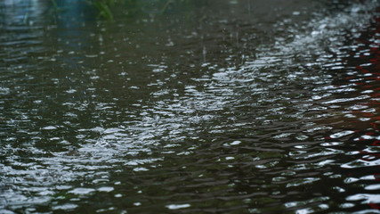 rain drops on the window