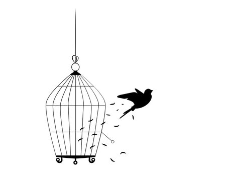 Bird flying from the cage, flying bird silhouette, cage illustration, freedom concept, wall decals, wall artwork, poster design isolated on white background. Scandinavian minimalist art design