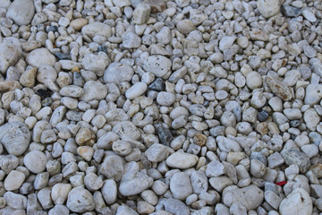 White pebble rocks being used as ground cover in a garden