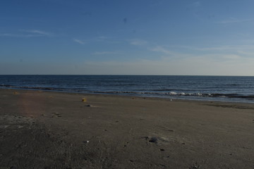 beach with a sunset background
