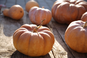 Many pumpkins on a wooden surface