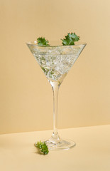 Fresh cocktail drink ice garnish green leaves Trendy still life