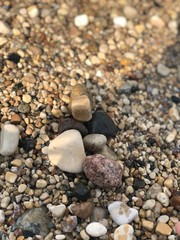pebbles on the beach