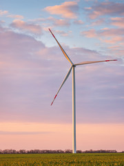 alone wind turbine in pink light of sunrise in field with copy space in the sky