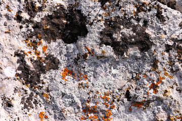 Close-up Rock Formation That Can Be Used as Background and Texture