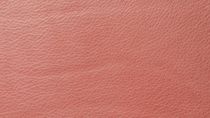 Fototapeta premium Red Leather Texture. Macro shooting, closeup. Background