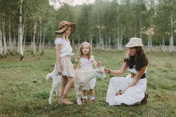 Fototapeta premium Mother and daughters feed a goat in a meadow in white dresses on a farm summer day