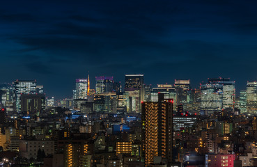 Fototapeta na wymiar Aerial night panoramic view of the skyscrapers of Tokyo illuminated.