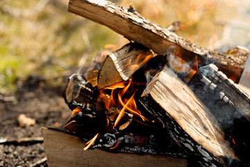 Bonfire in the forest. An isolated campfire burning on sunny afternoon. The wood is a little wet and causing it to smoke a bit. The flames have an orange glow.